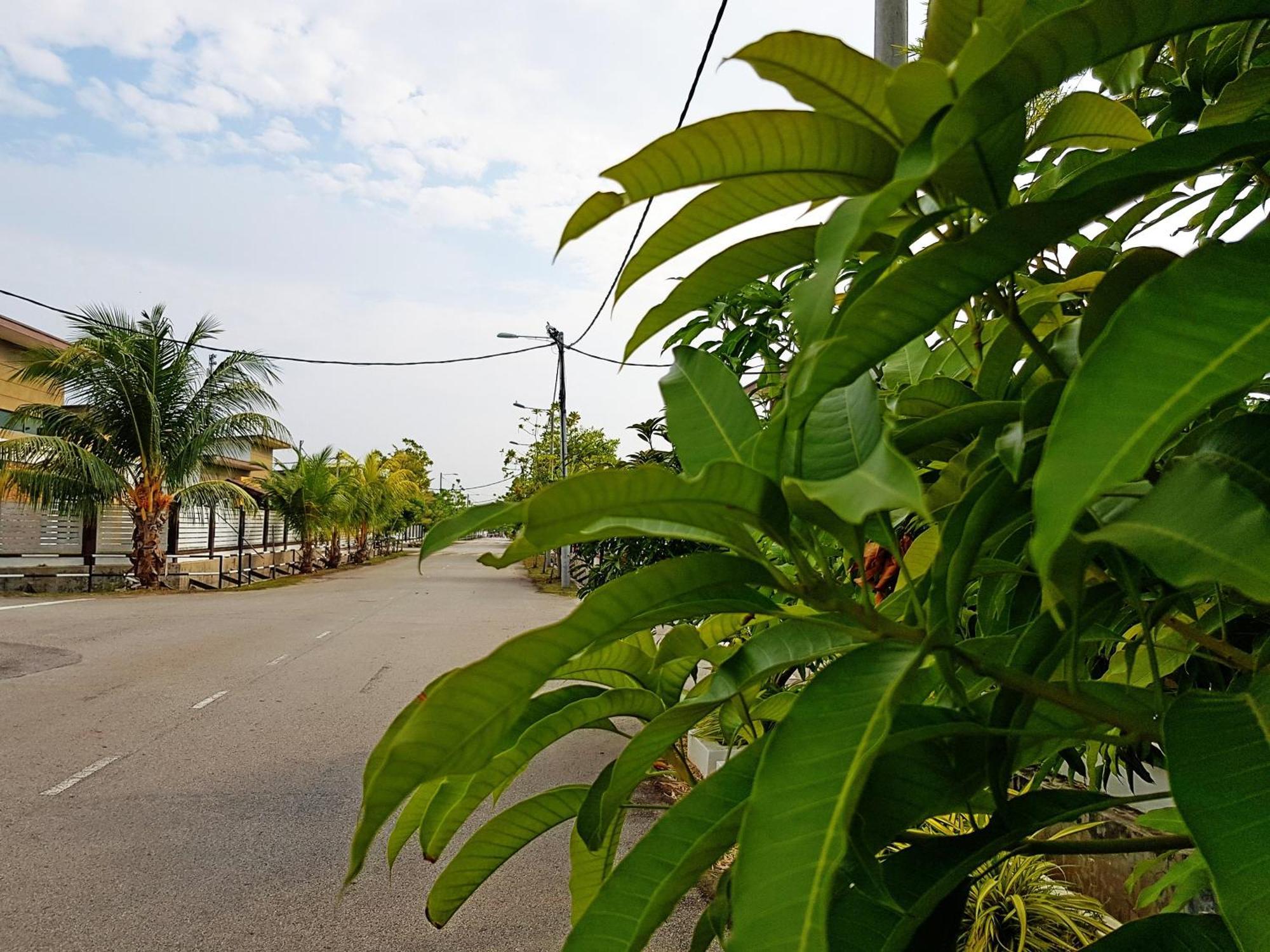 Siantan In Paya Rumput Near Std Hang Jebat, Sg Udang & Uitm Lendu Hotel Malacca Exterior foto